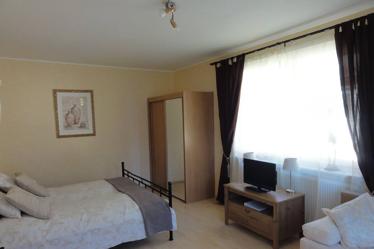 Une chambre à coucher avec un lit, un téléviseur posé sur un meuble en bois, un canapé, un grand miroir et une fenêtre avec des rideaux.