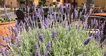 Hotel & Golf Ca La Caputxeta - Adults Only