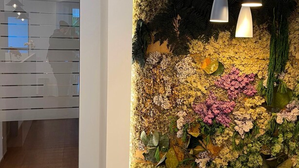 A wall with a vertical garden, two pendant lights, and a poster on a stand. - Piazza Mulino 26 (Matera)