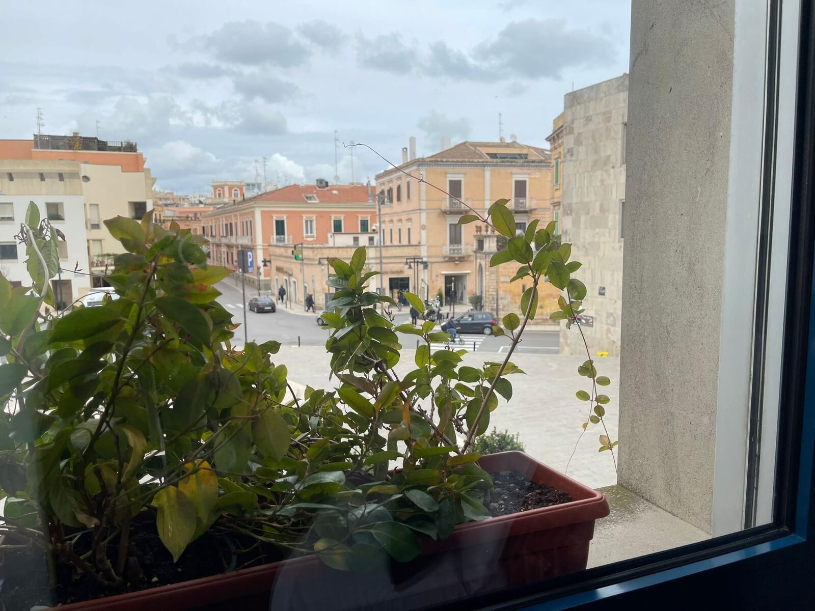 Une vue par la fenêtre sur une rue bordée d’immeubles, avec une plante en pot et un feu de signalisation.