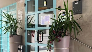 A blue door with glass panels, a metal fire extinguisher, and two potted plants. - Piazza Mulino 26 (Matera)