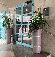 A blue door with glass panels, a metal fire extinguisher, and two potted plants.