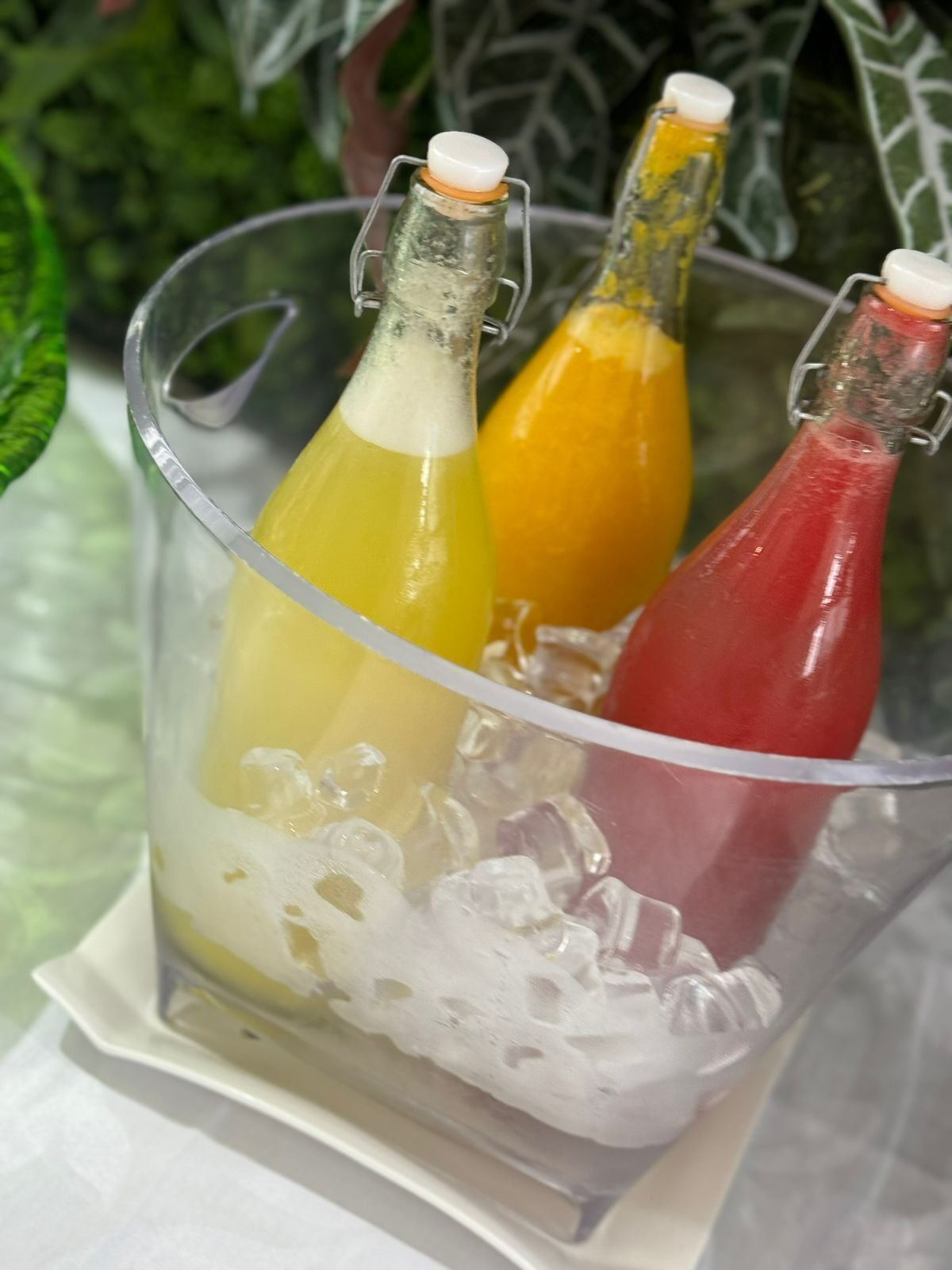 A glass container holding three bottles with different colored liquids, placed on a white surface with a green leafy background.