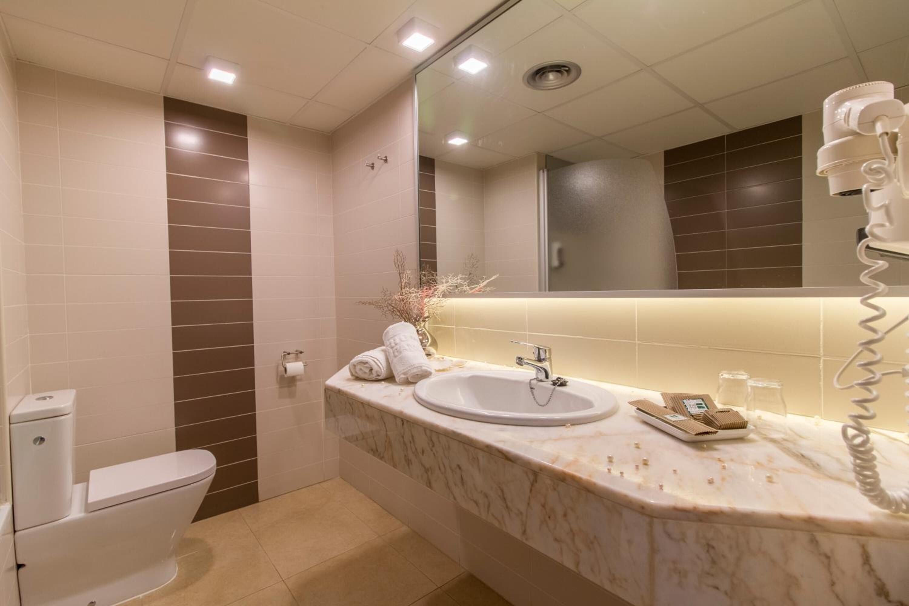 combined shower/bathtub, free toiletries, hair dryer, towels