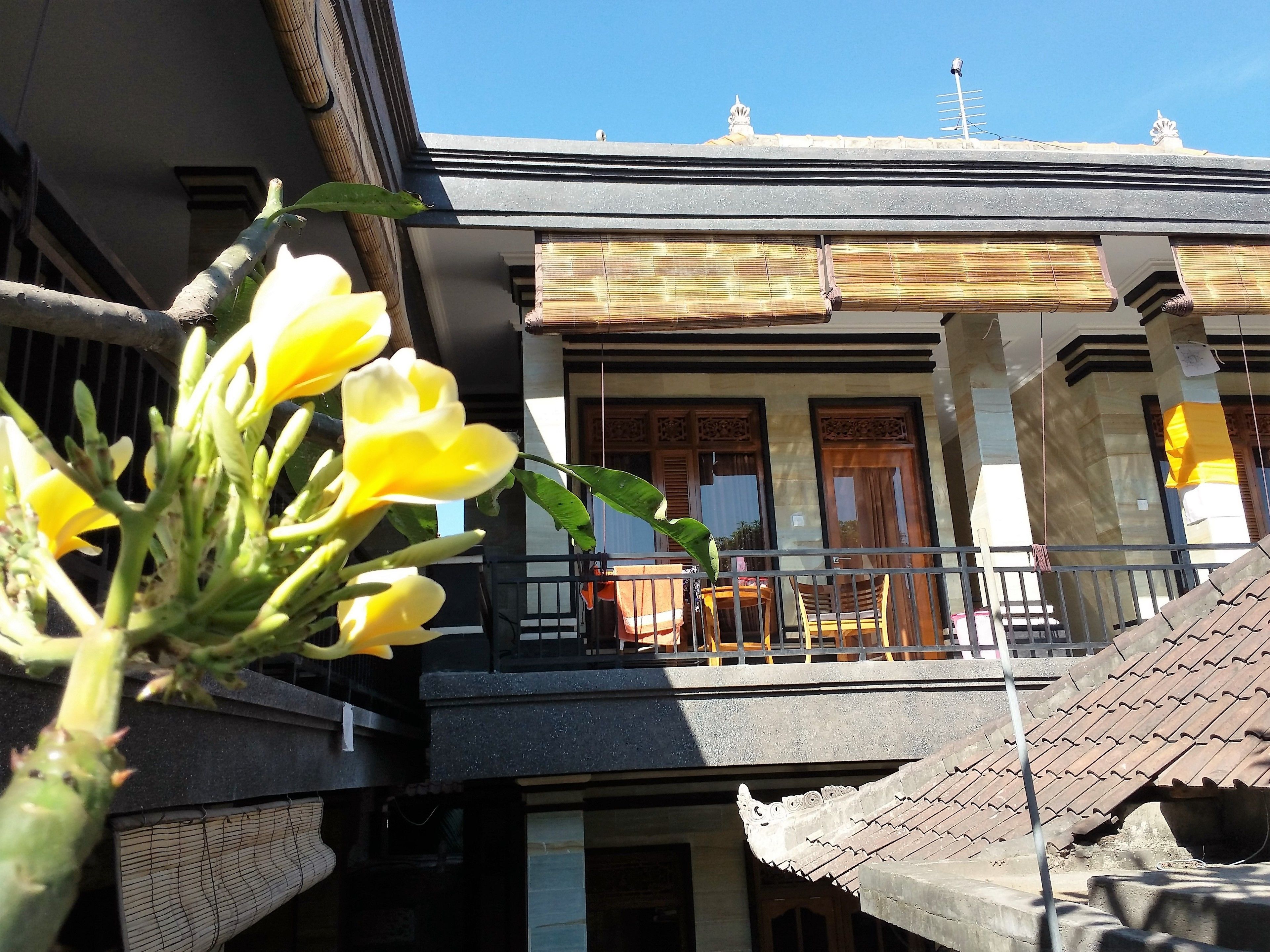 Foto - Rumah Ary Homestay & Spa