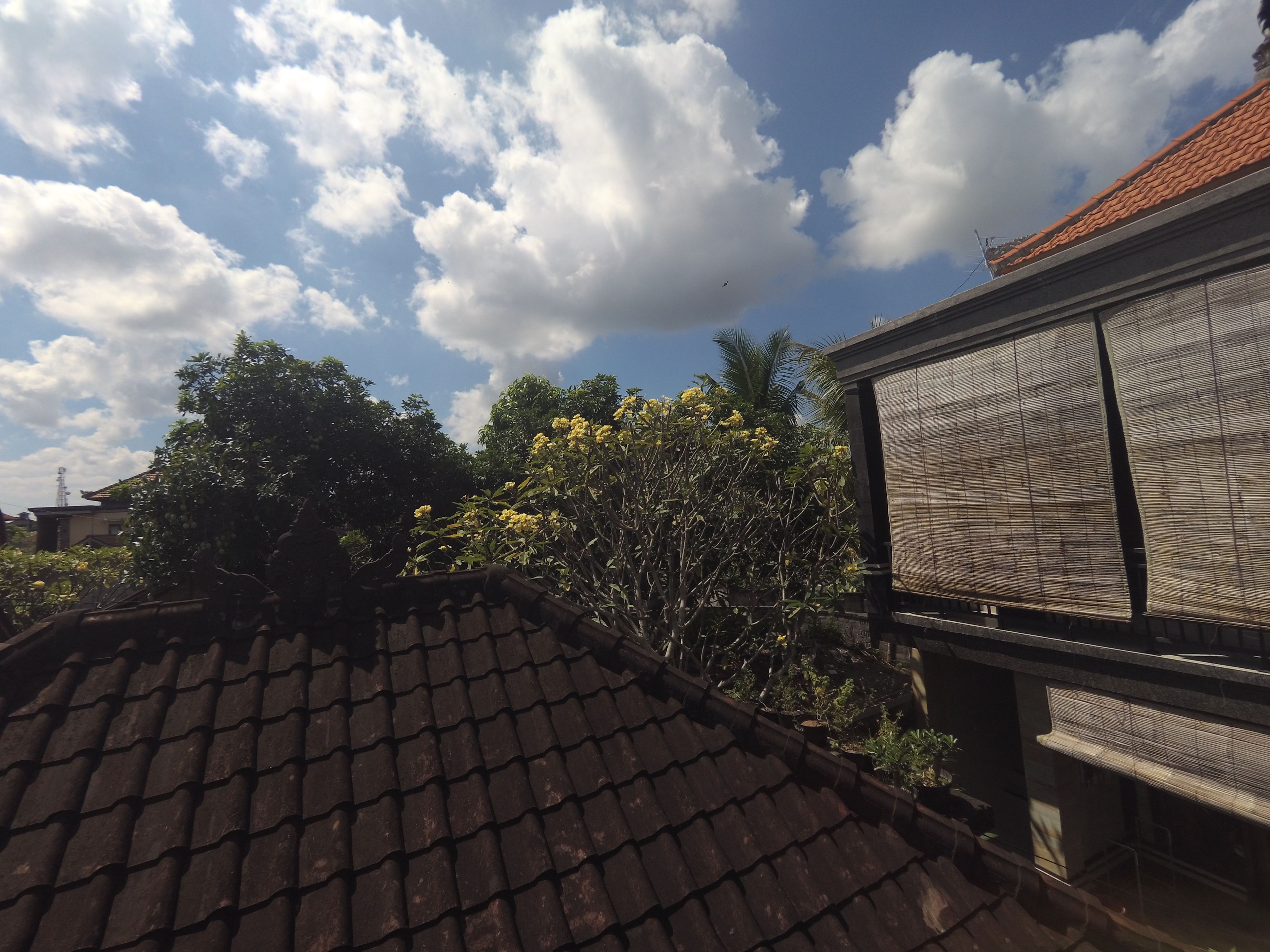 Foto - Rumah Ary Homestay & Spa