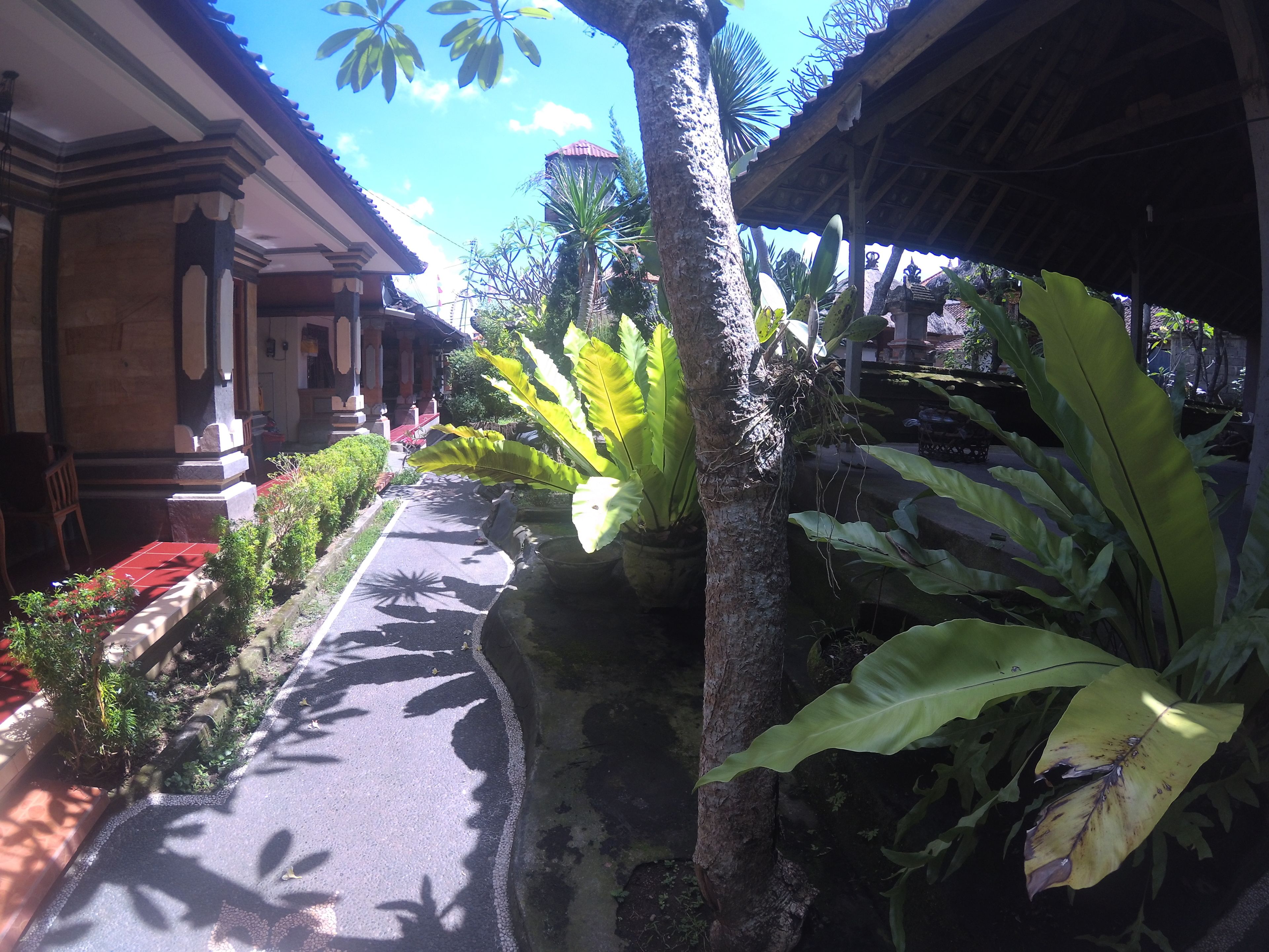 Foto - Rumah Ary Homestay & Spa