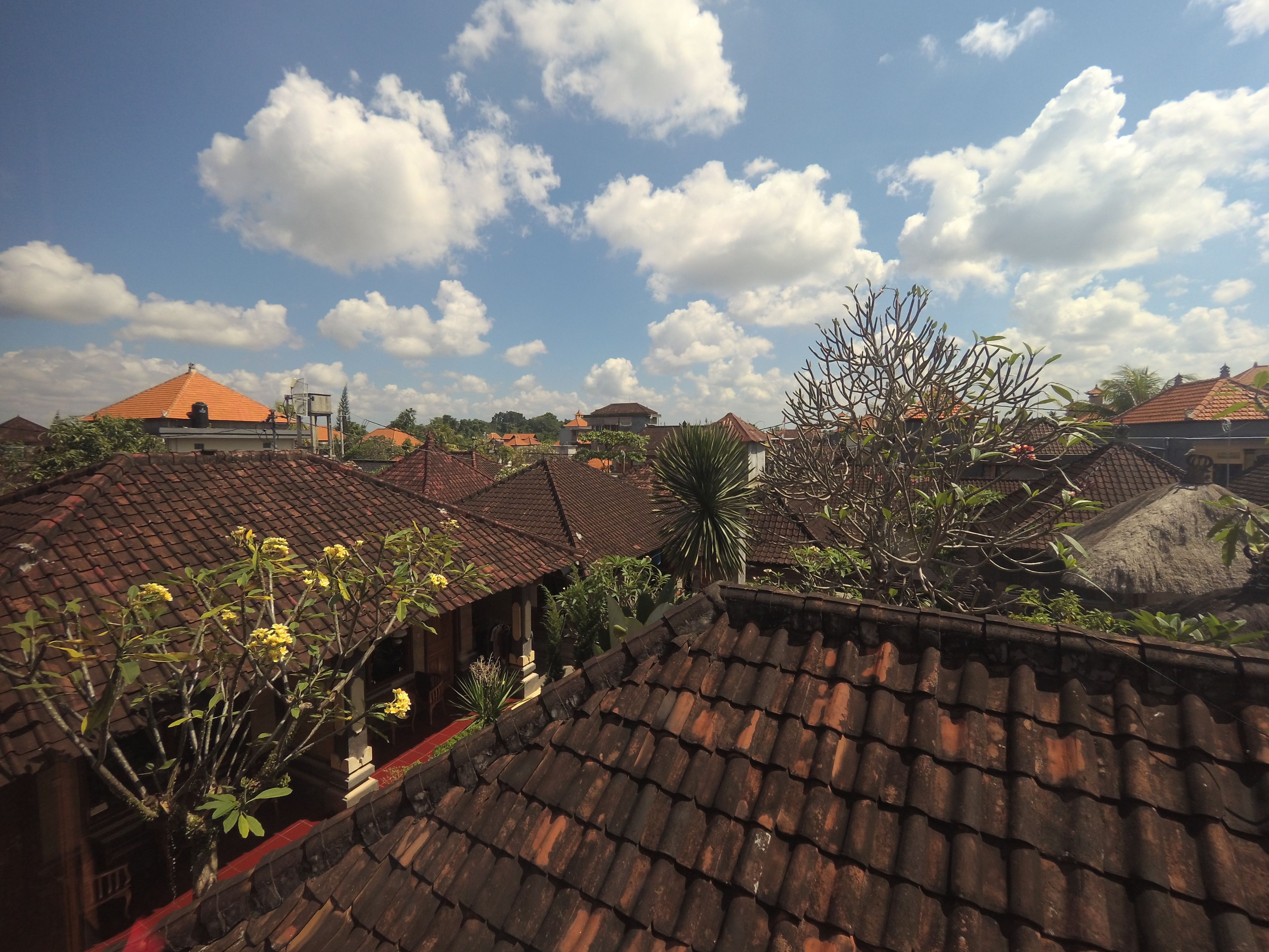 Photo - Rumah Ary Homestay & Spa