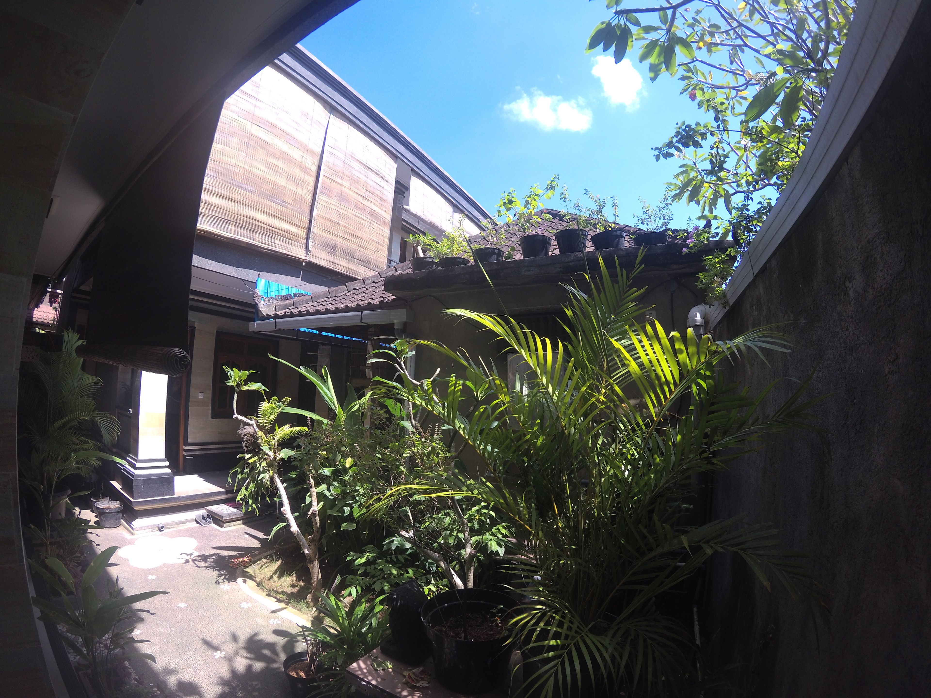 Photo - Rumah Ary Homestay & Spa