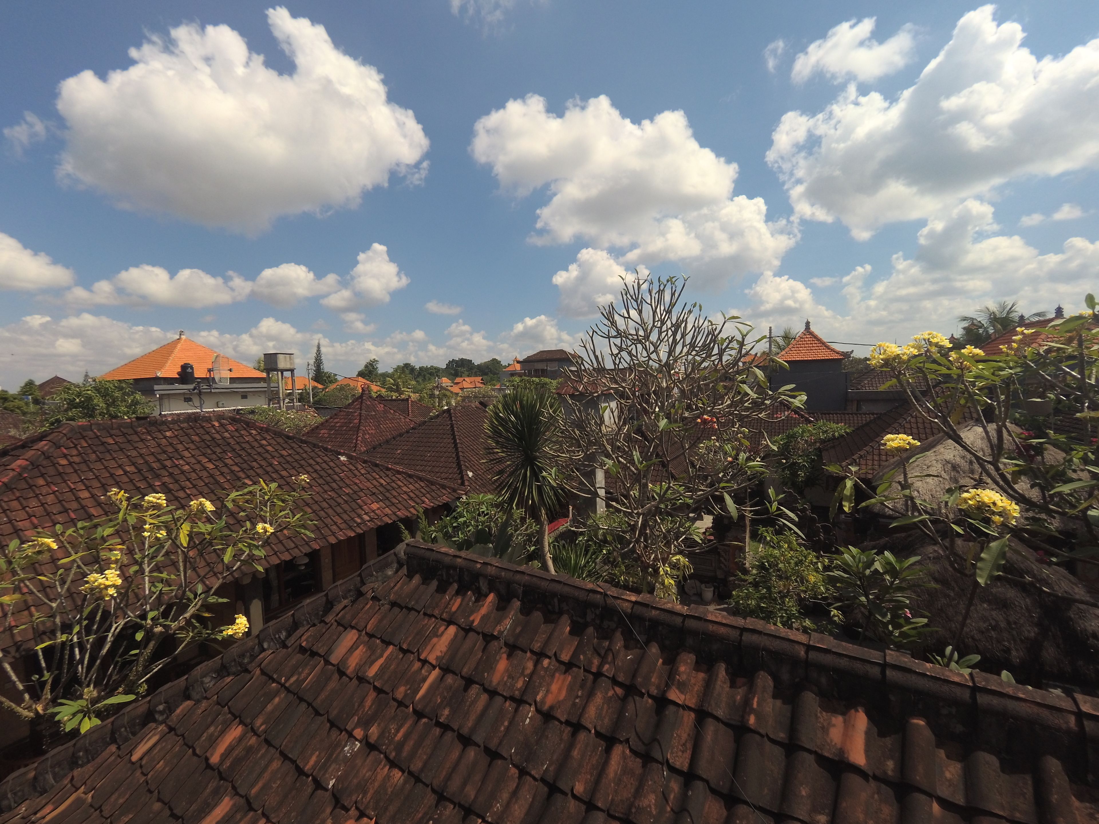 Foto - Rumah Ary Homestay & Spa