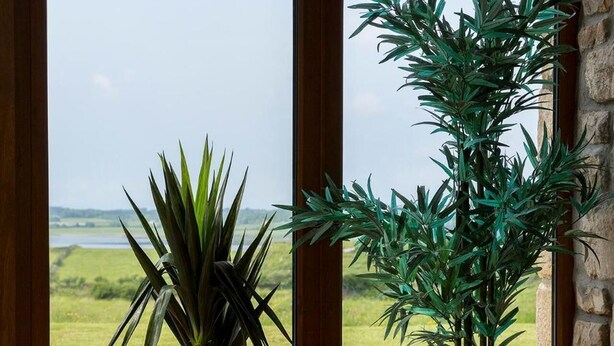 Un comedor con una mesa y sillas, vista al campo a través de amplios ventanales y dos plantas en macetas.