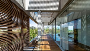 A modern architectural corridor with wooden slats and glass walls, providing views of greenery and buildings.