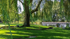 A serene park with a large weeping willow tree, a pond, and a bridge. - River Nene Cottages (Peterborough)