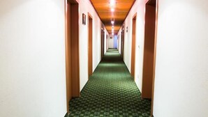 A long, narrow hallway with a patterned carpet and wooden doors on both sides. - Hotel Seelacherhof (Sankt Kanzian am Klopeiner See)
