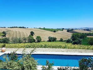 Una piscina al aire libre, una piscina en la azotea, tumbonas