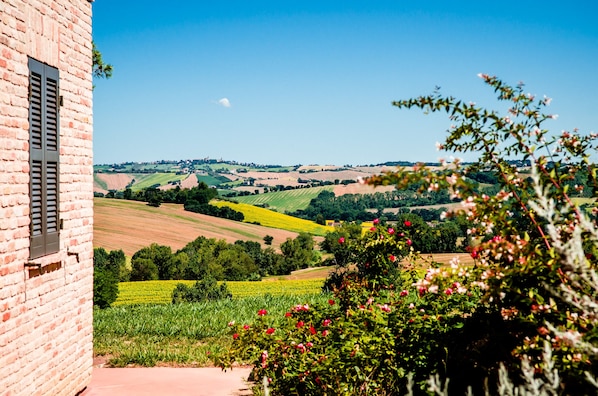 Vista da propriedade