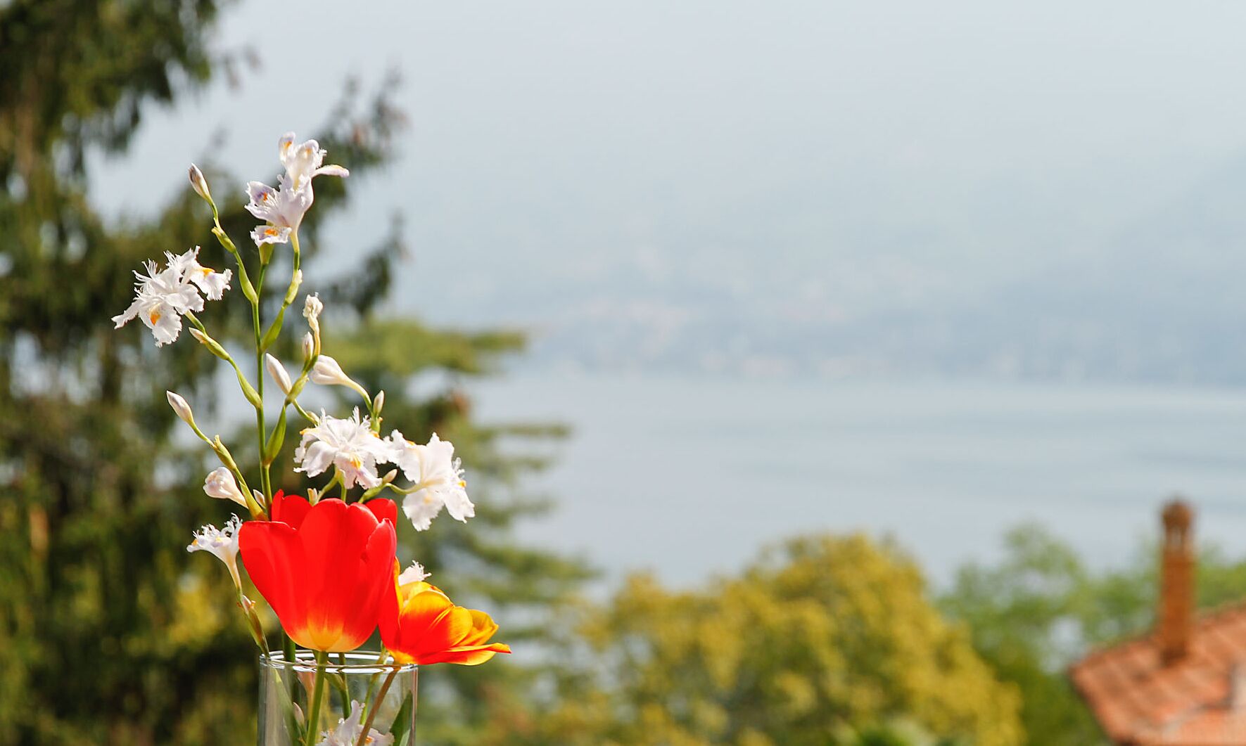 A glass vase with flowers on a balcony overlooking a lake.