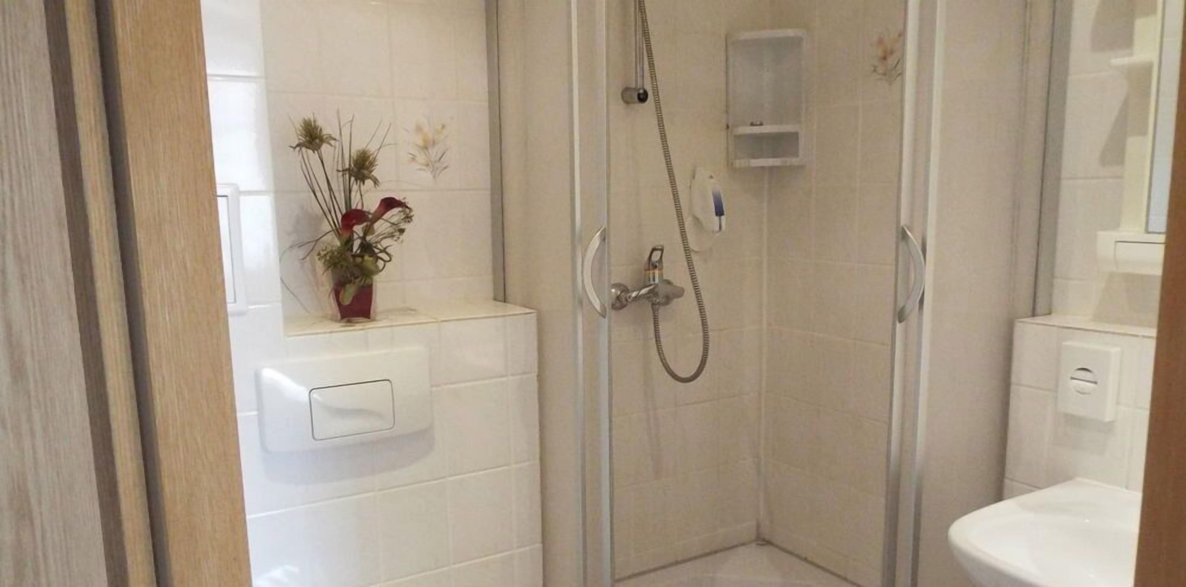 A small, enclosed shower area with a glass door, a white sink, and a toilet.