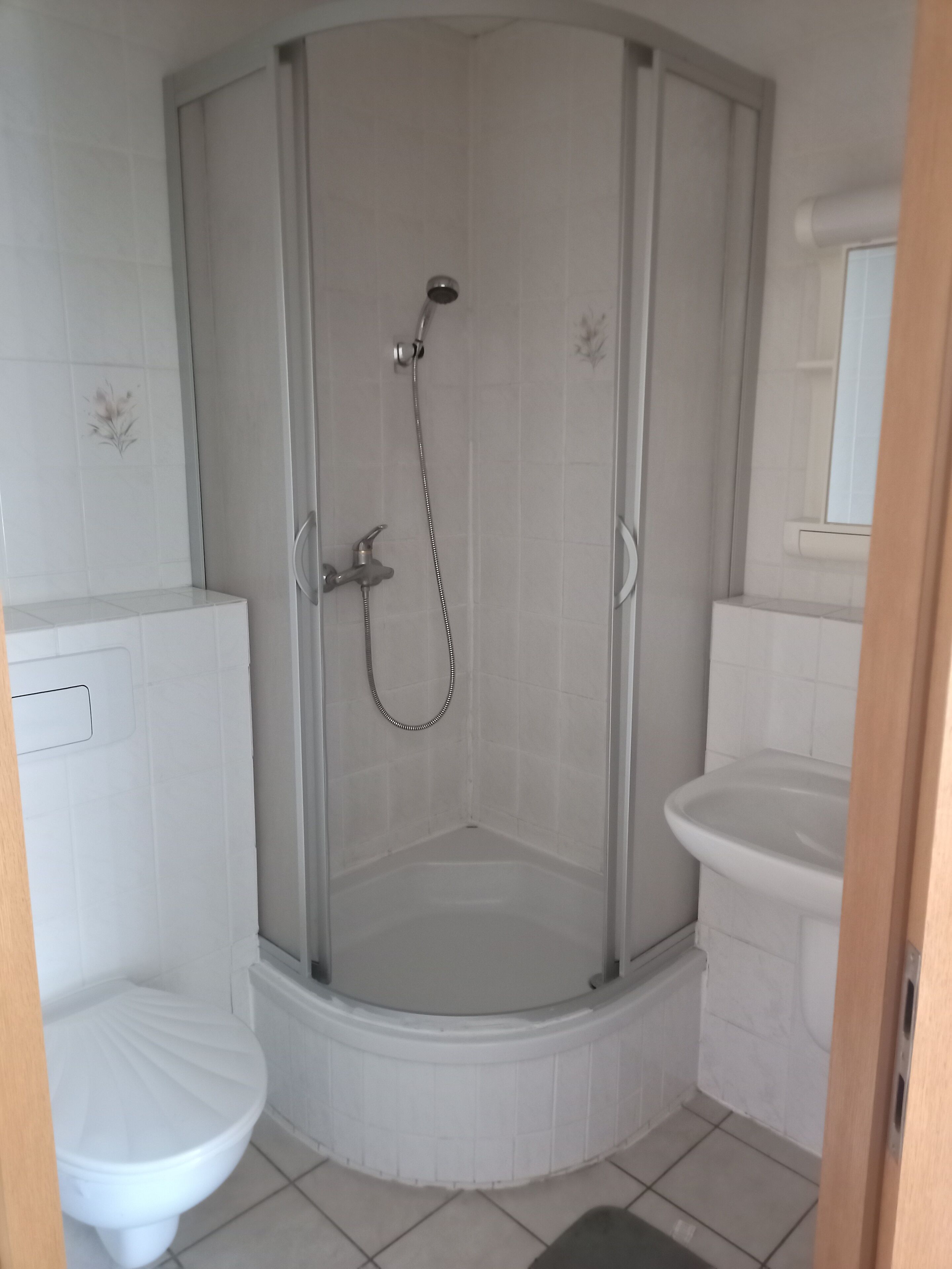 Ducha en esquina con puerta de vidrio, inodoro blanco y lavabo con espejo superior.