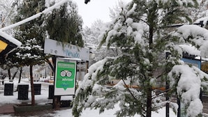 A snow-covered outdoor area with a sign for 'el Nevádo' and a 'tripadvisor' recommendation sign. - Apart El Nevado (Malargüe)