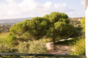 Un sentier bordé d’arbres, avec un mur de pierres et une vue sur des collines lointaines.