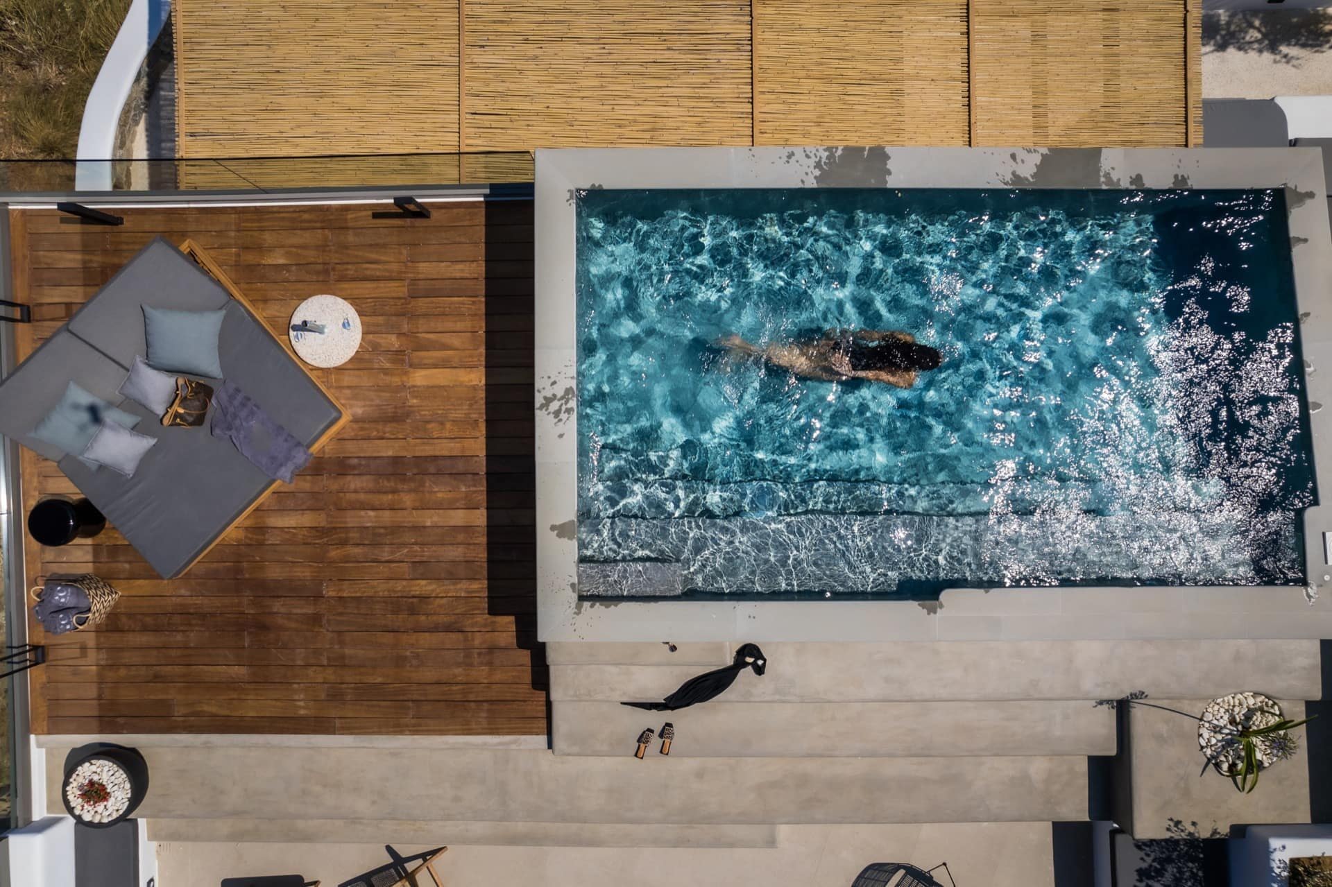 A rooftop pool with a swimmer, a lounge area with a sofa and a round table, and a bird on the steps.