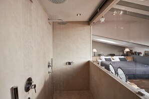 Shower, eco-friendly toiletries, hair dryer, towels