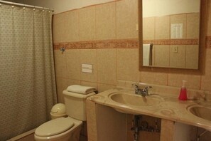 Shower, free toiletries, hair dryer, towels - Hotel Palacio Real Granada (Granada)