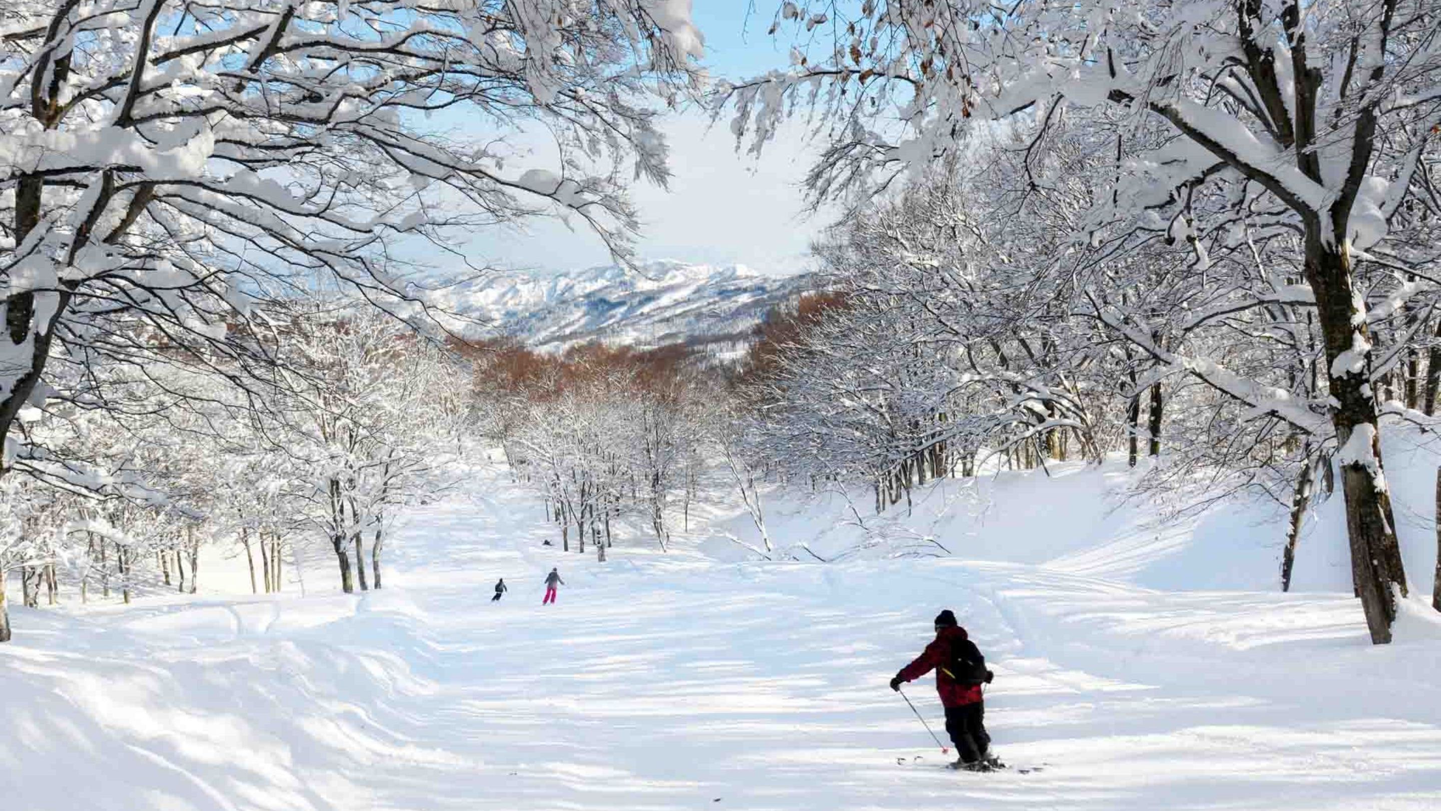 A snowy landscape with trees and a person skiing.