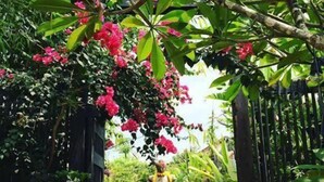 A garden pathway with a statue, a fountain, and a Buddha statue. - Artist Place Trat (Trat)