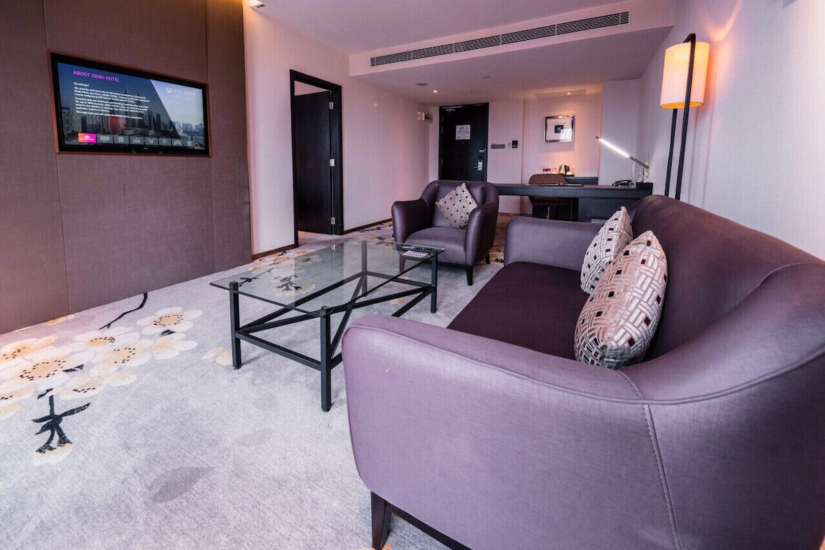 CEO Suite | Living area | LED TV