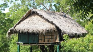 A thatched-roof structure with a wooden platform, surrounded by dense green foliage. - Beddegama Eco (Thissamaharama)