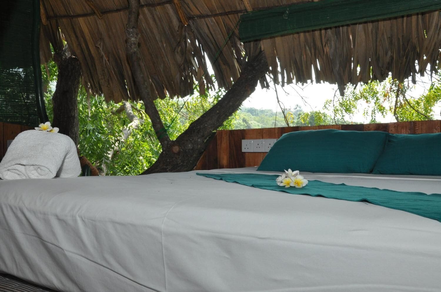 트리 하우스, 침실 1개, 산 전망, 산비탈 | 1 개의 침실, 책상, 간이 침대