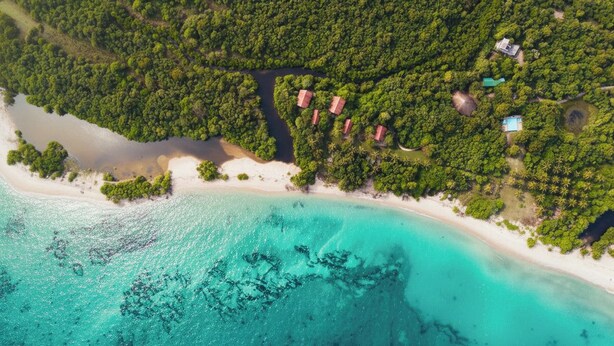 An aerial view of a coastal area with a beach, dense forest, and several buildings.