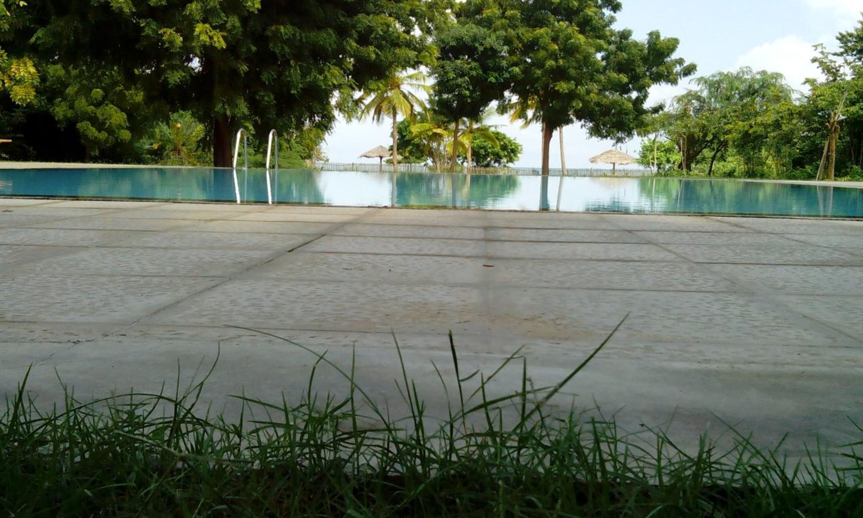 Una piscina vacía con plataforma de concreto, rodeada de árboles y un cielo despejado.