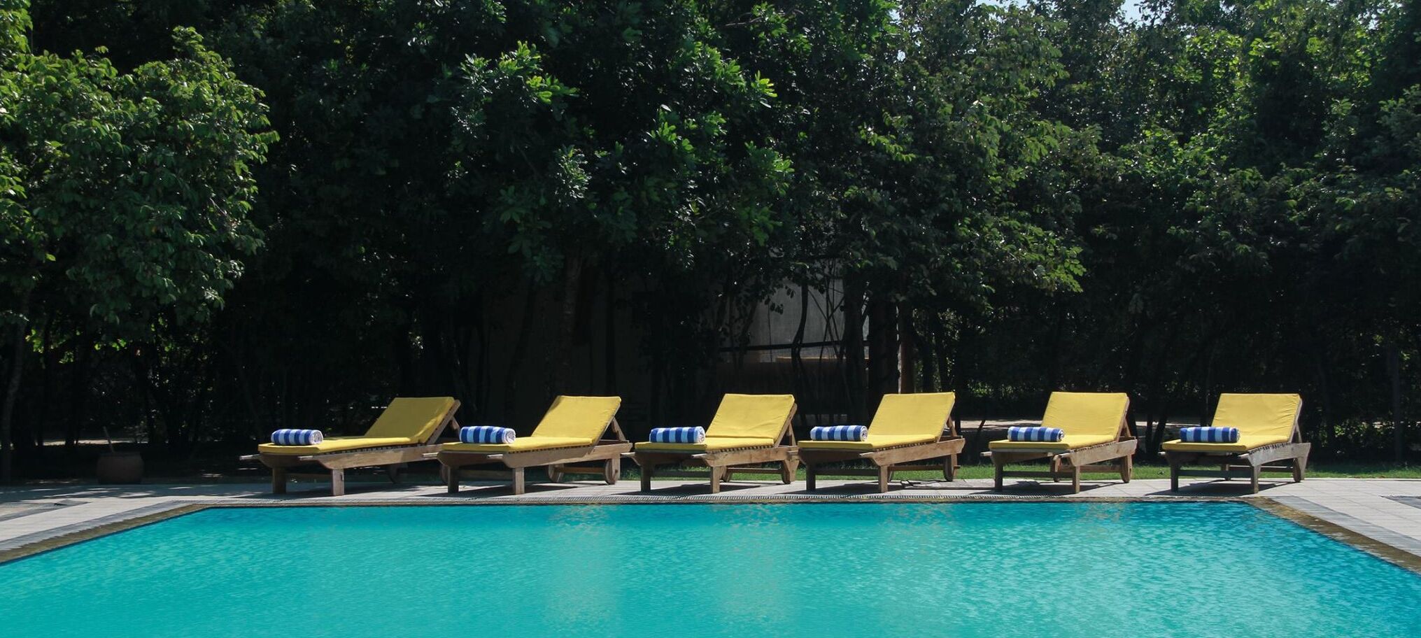 A pool with six yellow lounge chairs, each with a blue and white striped cushion.