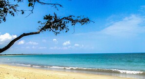 Pantai pribadi, scuba diving, yoga pantai, dan memancing