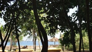 A poolside area with wooden lounge chairs and a view of the ocean.