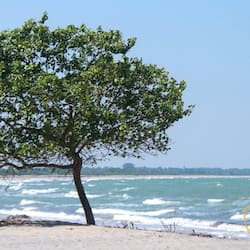 Vista desde la propiedad