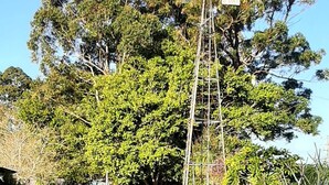 Un moulin à vent se dresse dans une zone herbeuse, parsemée d’arbres, sous un ciel dégagé.