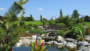 A garden with a pond, rocks, and various plants. - Schloss Hotel Holzrichter (Nachrodt-Wiblingwerde)