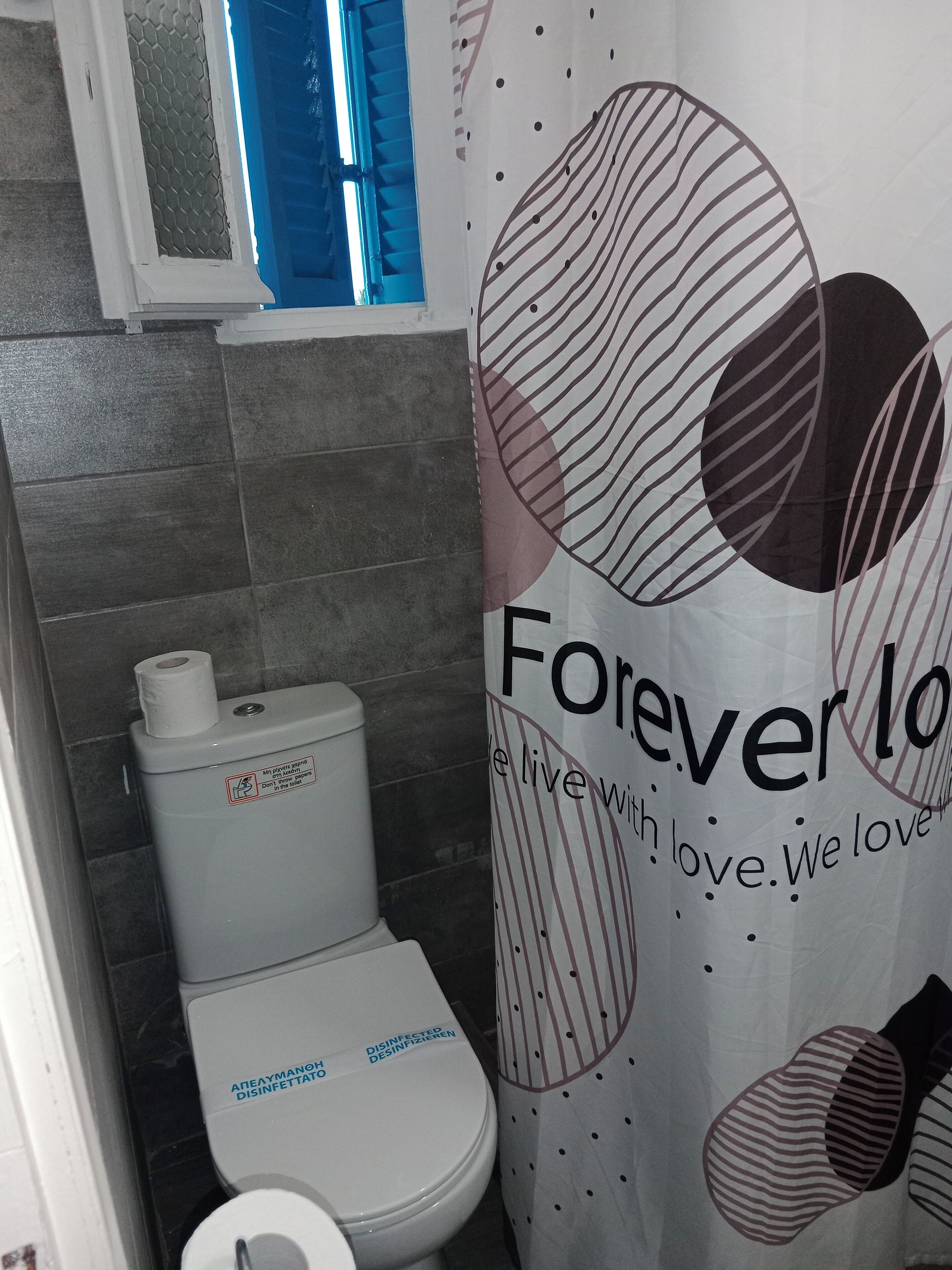 shower, free toiletries, hair dryer, slippers