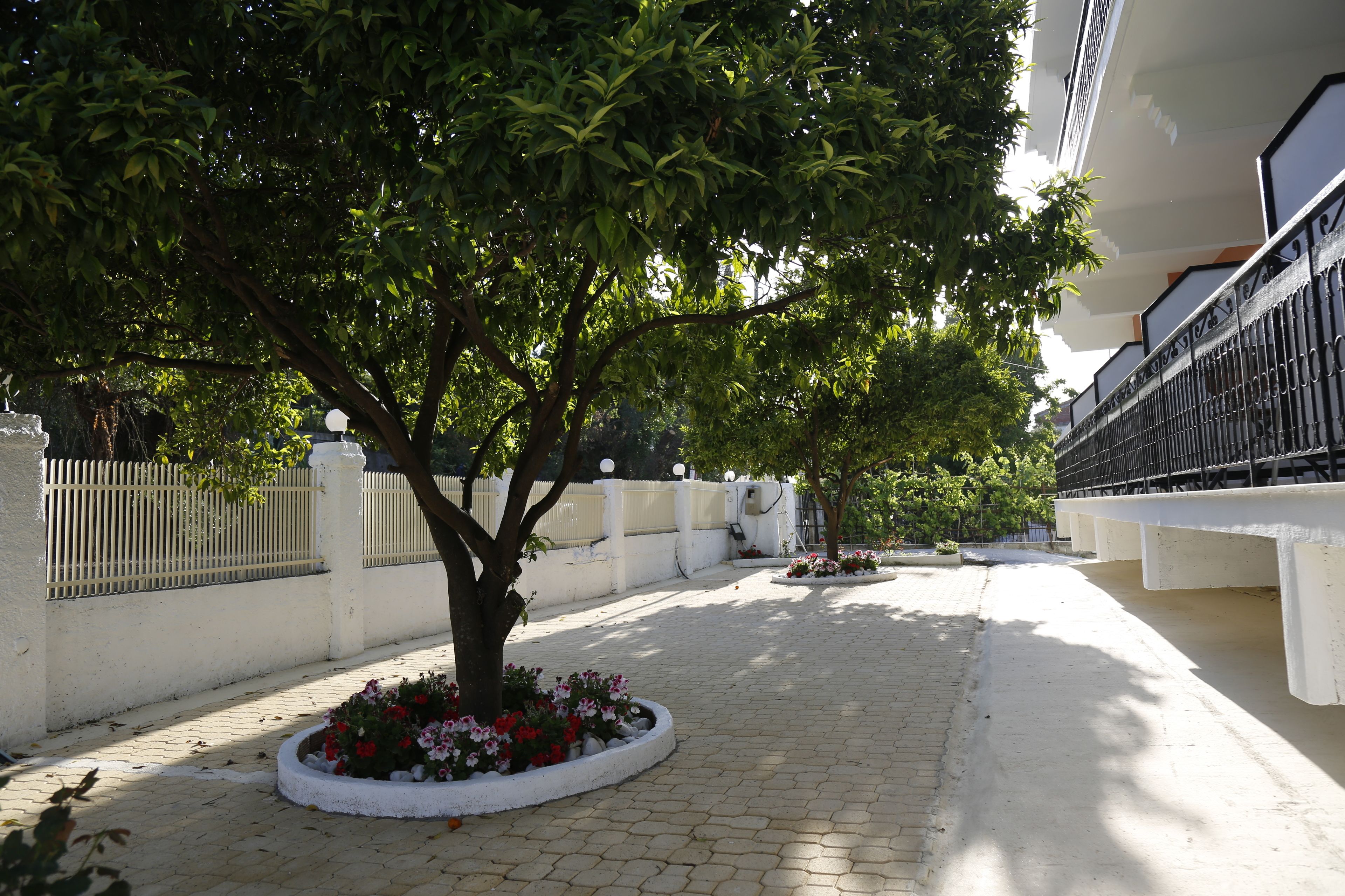 Área da propriedade