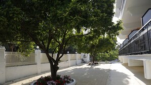 A paved pathway with trees and flower beds, bordered by a white wall and a metal fence. - Aristides Studios (Corfu)