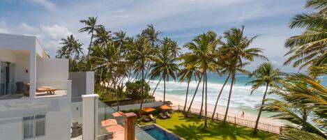 Outdoor pool, sun loungers