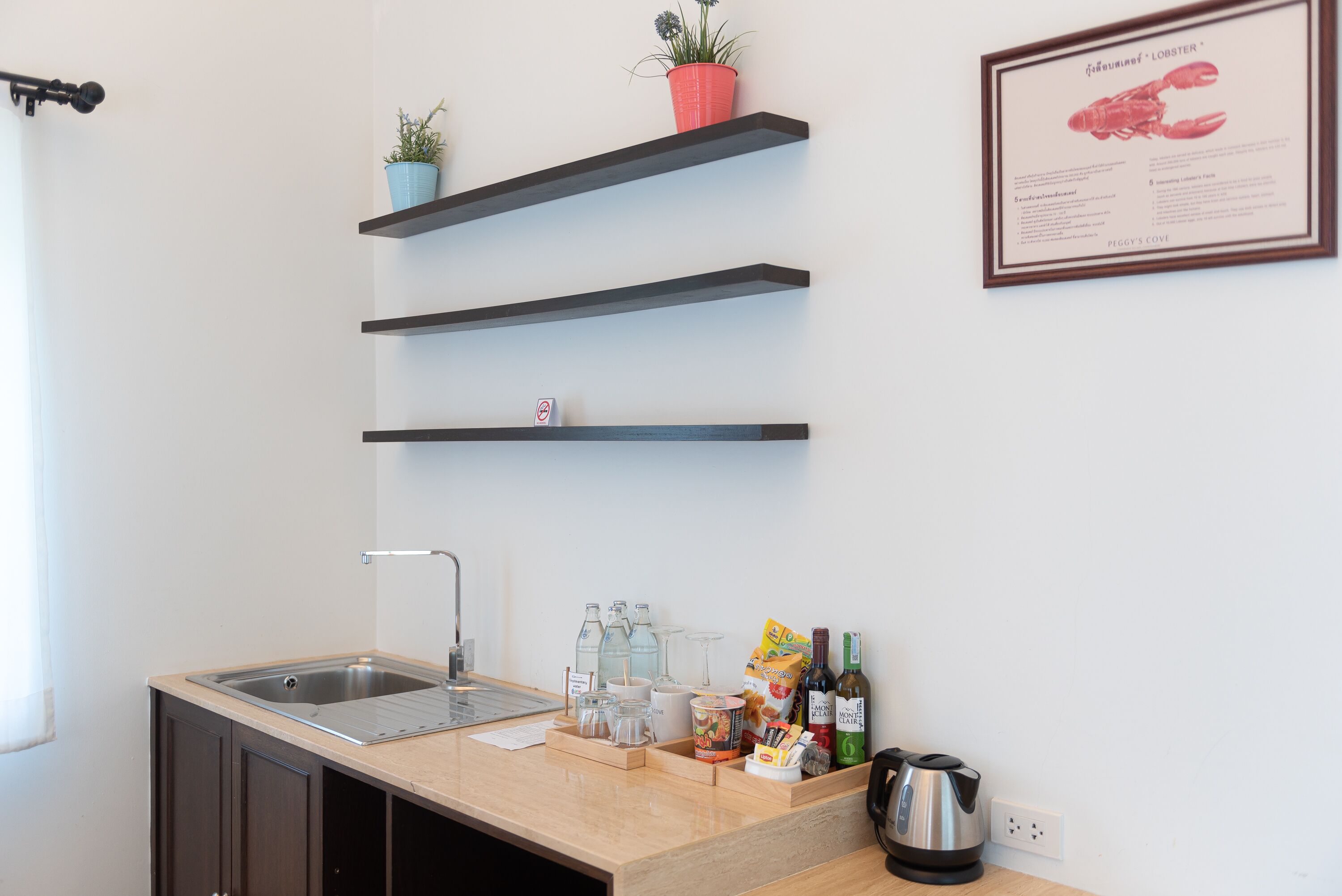 Una cocina con un lavamanos, encimera y repisas con plantas en macetas.