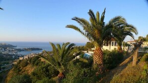 A coastal view with a palm tree and a building with a white facade. - Bellair Village (Malevizi)