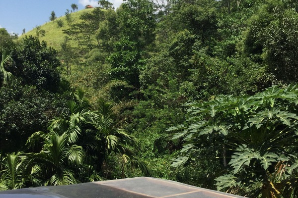 View from room