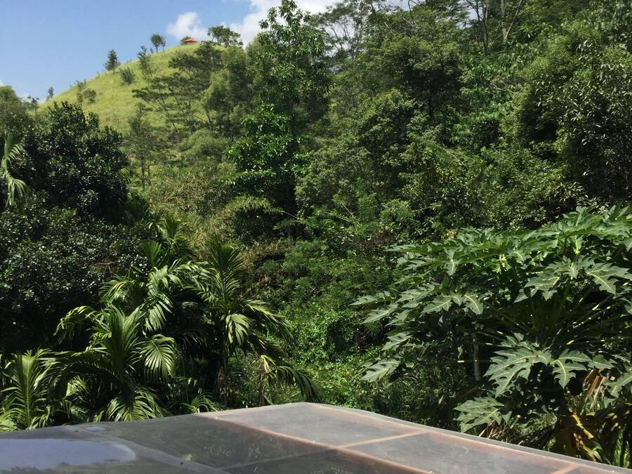 View from room