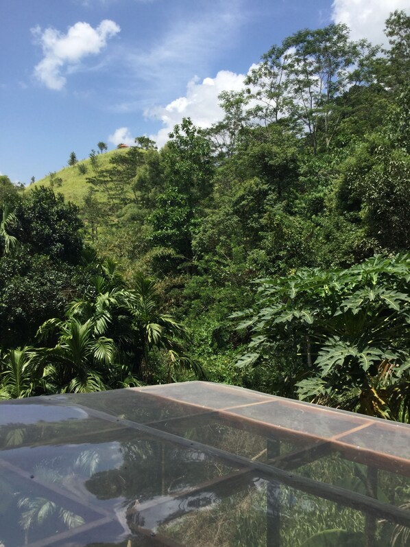 View from room - Hanthana House (Kandy)